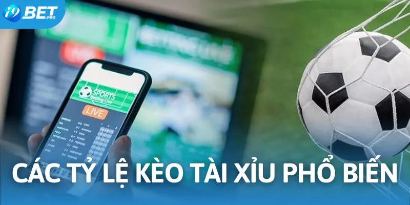 Hội viên có thể đặt cược ở nhiều tỷ lệ tài xỉu khác nhau