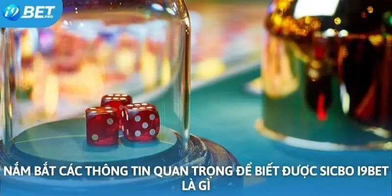 Nắm bắt các thông tin quan trọng để biết được sicbo I9BET là gì