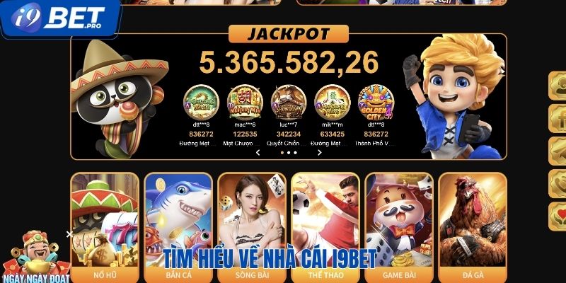 Tổng quan về đặc điểm của thương hiệu hàng đầu